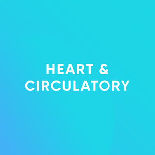Heart & Circulatory